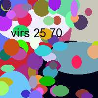 virs 25 70