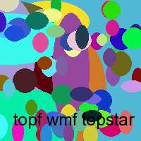 topf wmf topstar